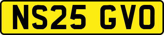 NS25GVO