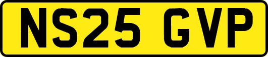 NS25GVP