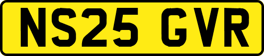NS25GVR