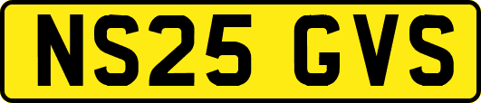 NS25GVS