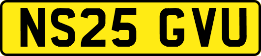 NS25GVU