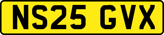 NS25GVX