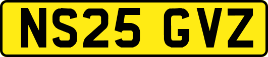 NS25GVZ