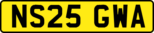 NS25GWA