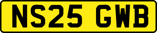 NS25GWB