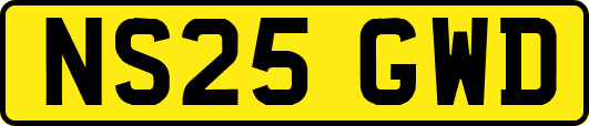 NS25GWD