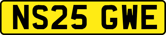 NS25GWE