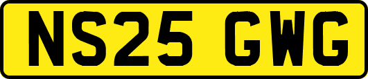 NS25GWG