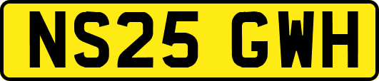 NS25GWH