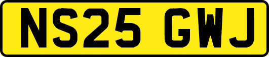 NS25GWJ