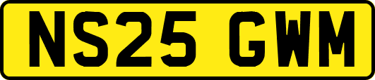 NS25GWM