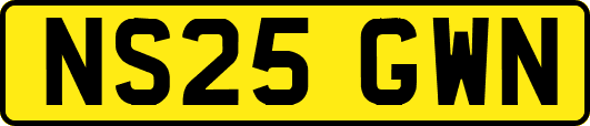 NS25GWN