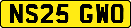 NS25GWO