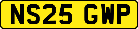 NS25GWP