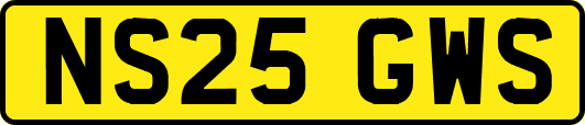 NS25GWS