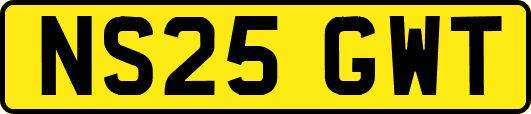 NS25GWT