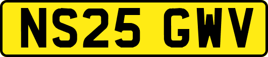 NS25GWV