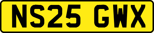 NS25GWX