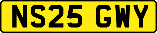 NS25GWY