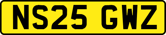 NS25GWZ