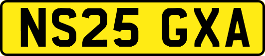 NS25GXA