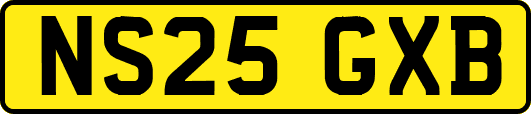 NS25GXB