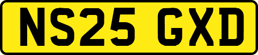 NS25GXD