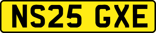 NS25GXE