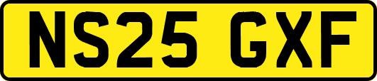 NS25GXF