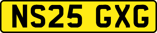 NS25GXG