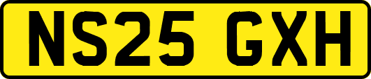 NS25GXH