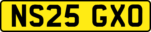 NS25GXO
