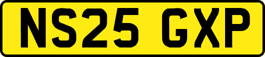 NS25GXP