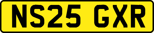 NS25GXR