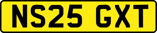NS25GXT