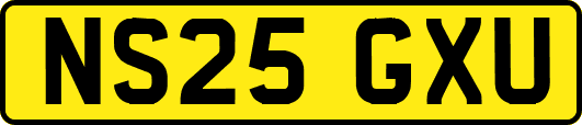 NS25GXU
