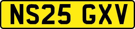 NS25GXV