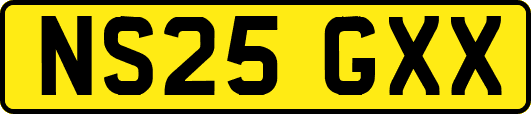 NS25GXX