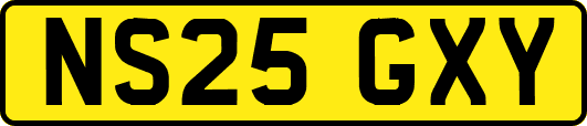 NS25GXY
