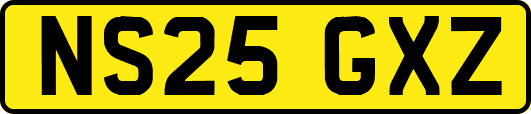 NS25GXZ