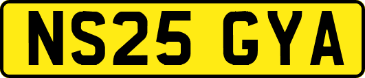 NS25GYA