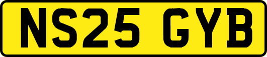 NS25GYB