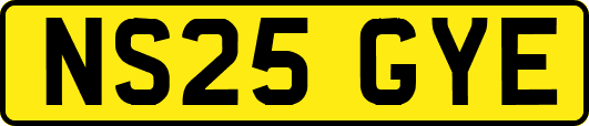 NS25GYE