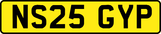 NS25GYP
