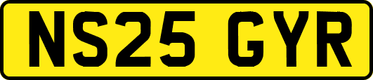 NS25GYR
