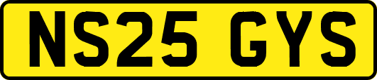 NS25GYS