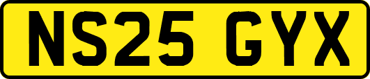 NS25GYX