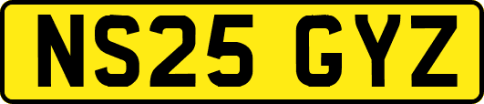 NS25GYZ