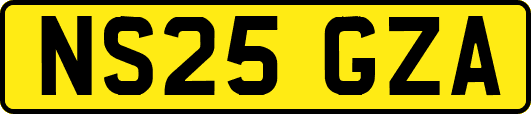 NS25GZA