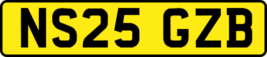 NS25GZB